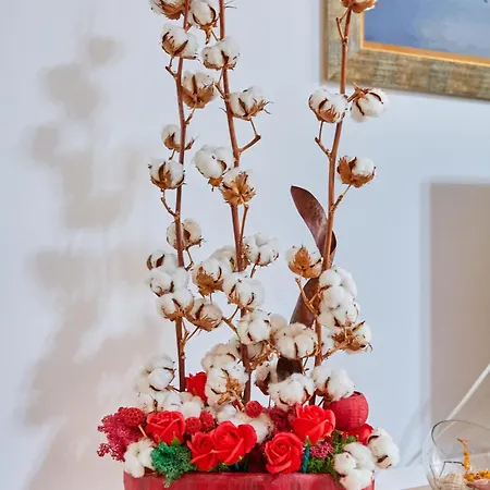 Bora Bora Boutik Cytadell Daire *